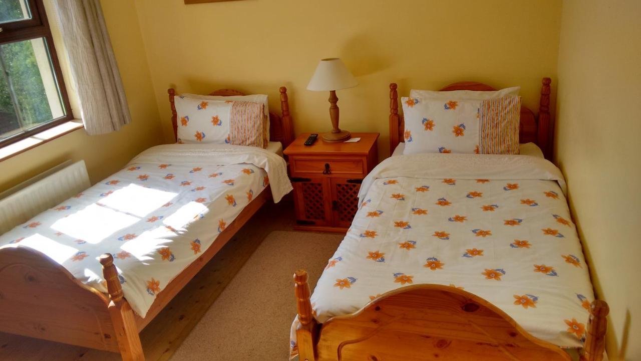 Grannagh Castle House Bed and Breakfast Waterford Exteriör bild