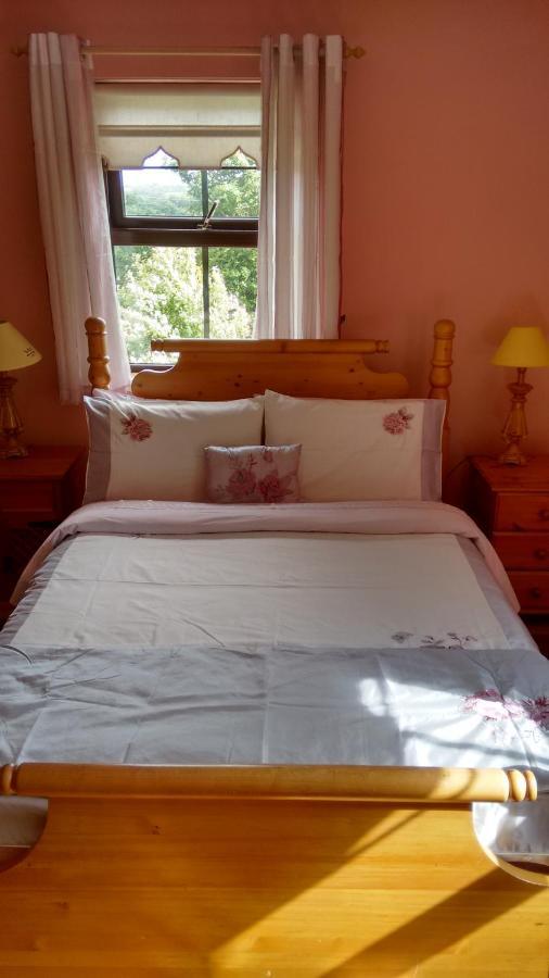 Grannagh Castle House Bed and Breakfast Waterford Exteriör bild