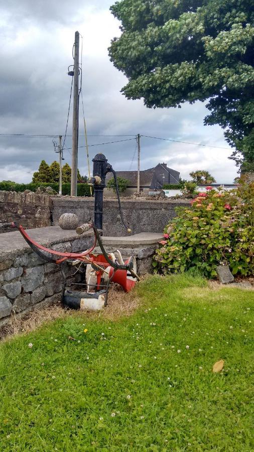 Grannagh Castle House Bed and Breakfast Waterford Exteriör bild